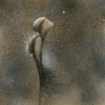 Profile picture of Limbs