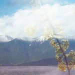 Profile picture of Kimba