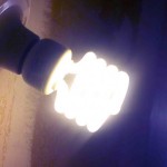 Profile picture of Corey D