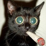 Profile picture of xuldemigod