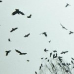 Profile picture of youthknows