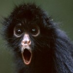 Profile picture of Brenn