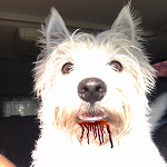 Profile picture of Bryan