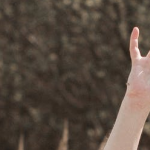 Profile picture of Lizzie S. Robinson