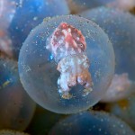 Profile picture of Ed