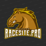 Profile picture of racesite.pro