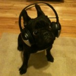 Profile picture of Greg