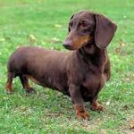 Profile picture of sgreatpatience