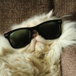 Profile picture of Allie