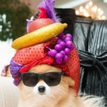 Profile picture of Johnny