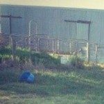 Profile picture of jat