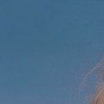 Profile picture of Marcel