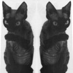 Profile picture of kenneth