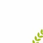 Profile picture of thethaoprom