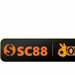 Profile picture of sc88tuyensinhnganhan