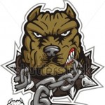 Profile picture of Brandon