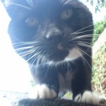 Profile picture of Jp