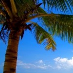 Profile picture of BIGANT