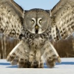 Profile picture of D R