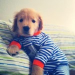 Profile picture of Dylan