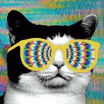 Profile picture of Rob