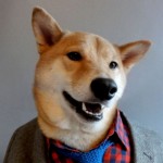 Profile picture of Emre Umut