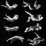 Profile picture of Fra