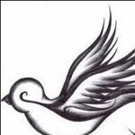 Profile picture of Max T Maerki