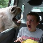 Profile picture of Jake