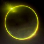 Profile picture of Zafra