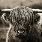 Profile picture of Alex