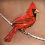 Profile picture of Sandro