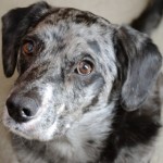 Profile picture of Grant