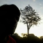 Profile picture of Vítor Ferragini