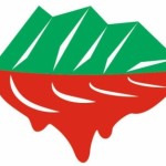 Profile picture of Bakk-D. László