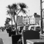 Profile picture of Muzi