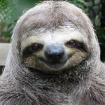 Profile picture of Jimmy