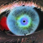 Profile picture of Sinnemann Péter