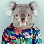 Profile picture of Gonçalo Franco