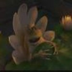 Profile picture of Niko