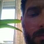 Profile picture of matthew walker donahue