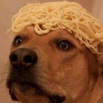 Profile picture of Matthew