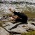 Profile picture of Tabitha Ponciano