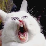 Profile picture of Defat