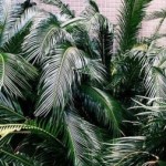 Profile picture of Jo Richard