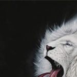 Profile picture of Nathan